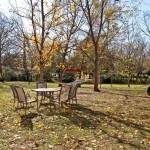 422 Murfreesboro Rd, Franklin TN - Backyard